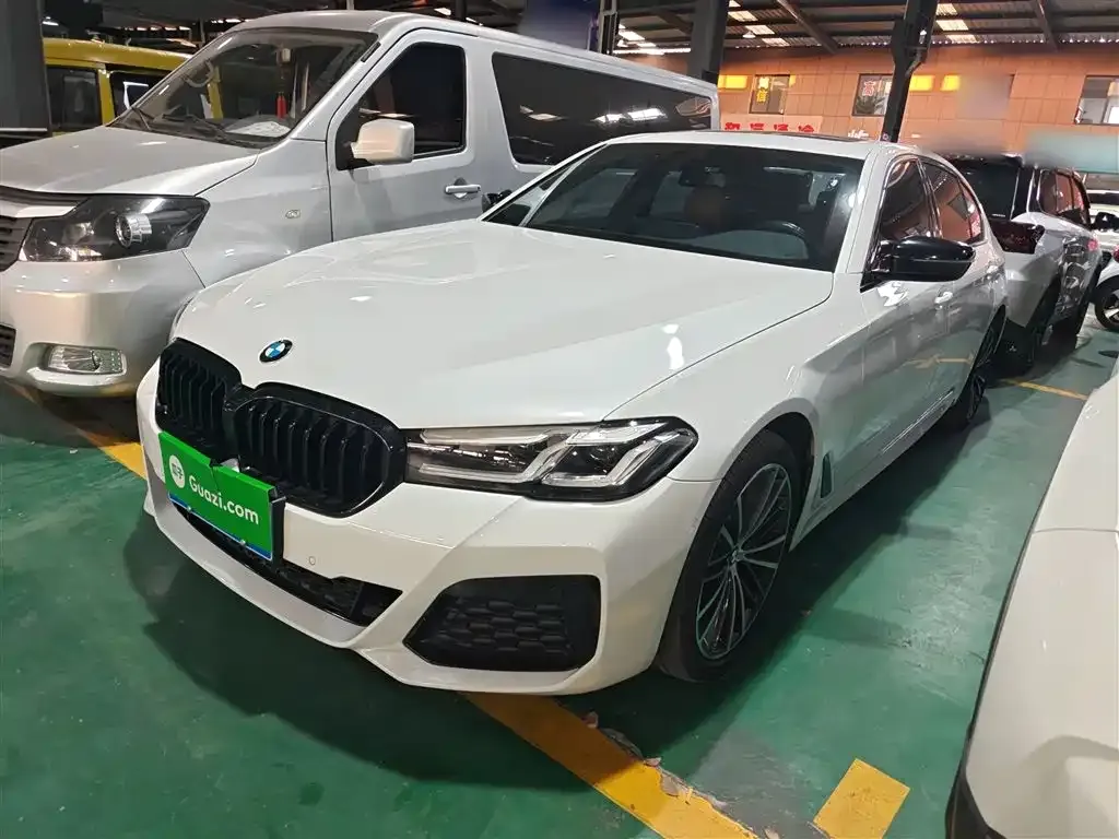 BMW 5 Series 2022 из CN, фото 2