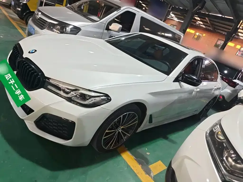 BMW 5 Series 2022 из CN, фото 5