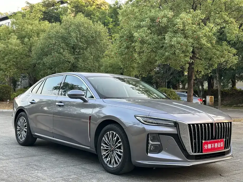 Hongqi H5 2023 из CN, фото 2