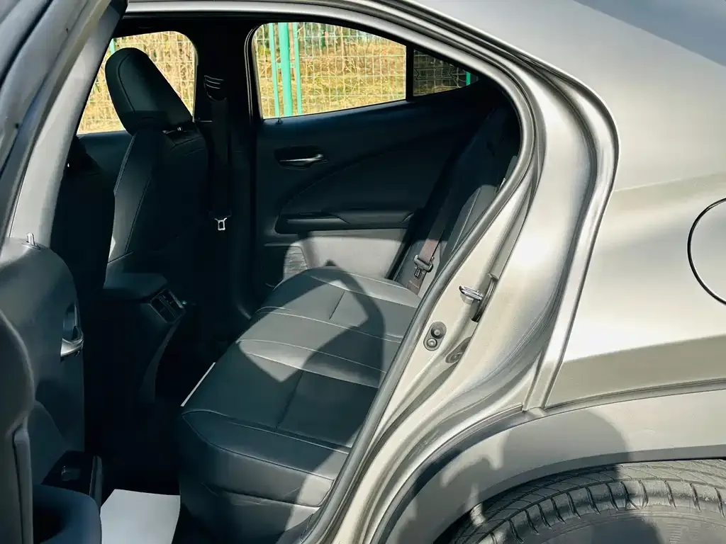Lexus UX 2021 из CN, фото 10