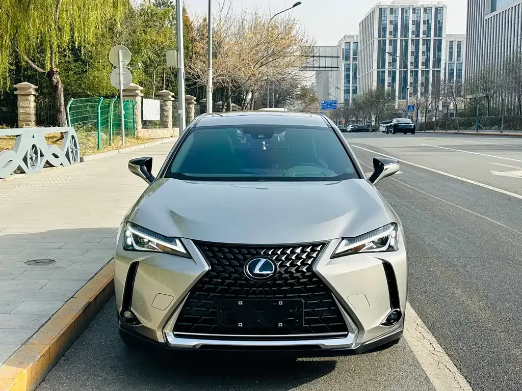 Lexus UX 2021 из CN, фото 2