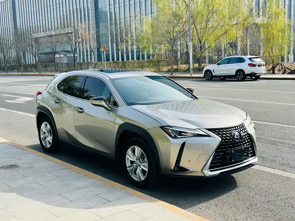 Lexus UX 2021 из CN, фото 3