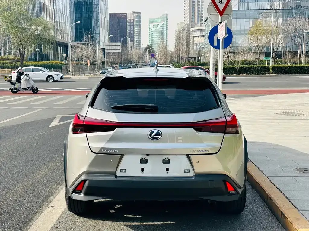 Lexus UX 2021 из CN, фото 5