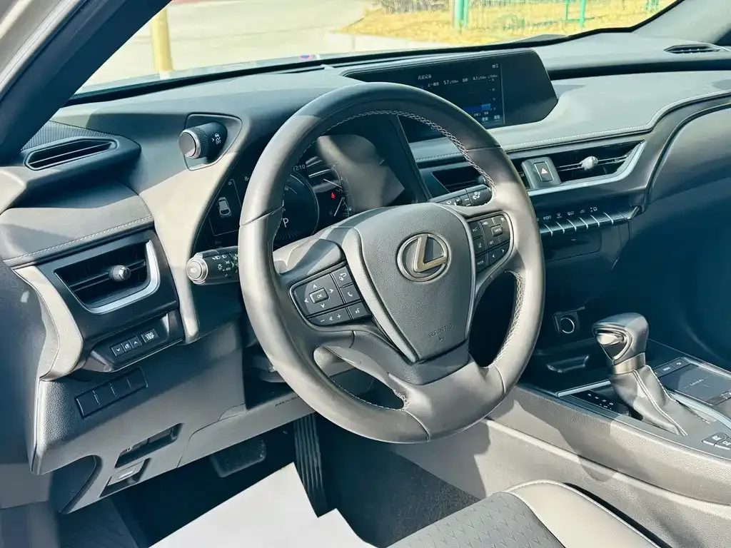 Lexus UX 2021 из CN, фото 9
