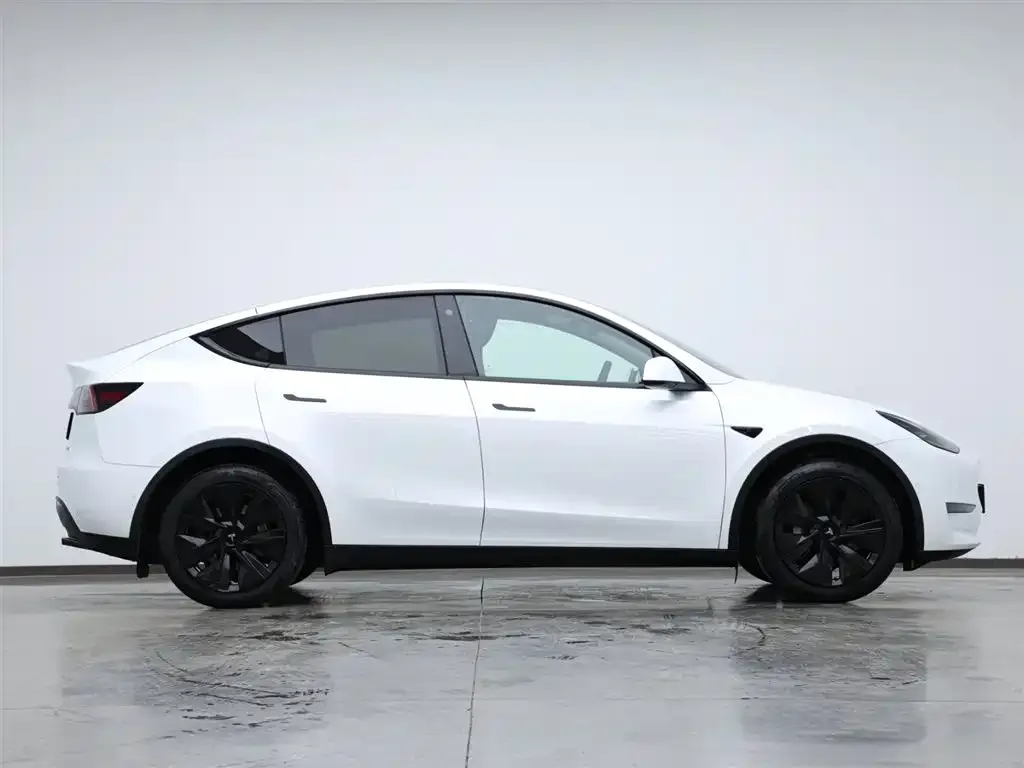 Tesla Model Y 2023 из CN, фото 6