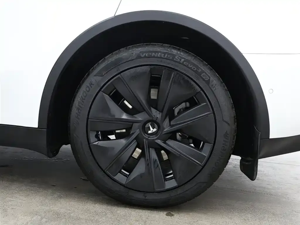 Tesla Model Y 2023 из CN, фото 9