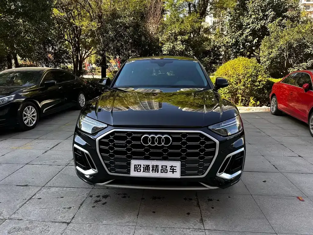 Audi Q5L 2022 из CN, фото 2