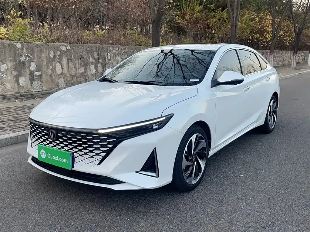 Changan Ruicheng PLUS 2023 из CN, фото 2