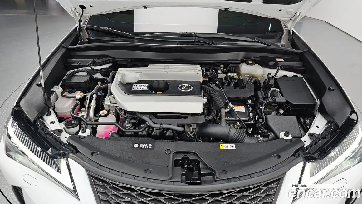 Lexus UX 2022 из KR, фото 6