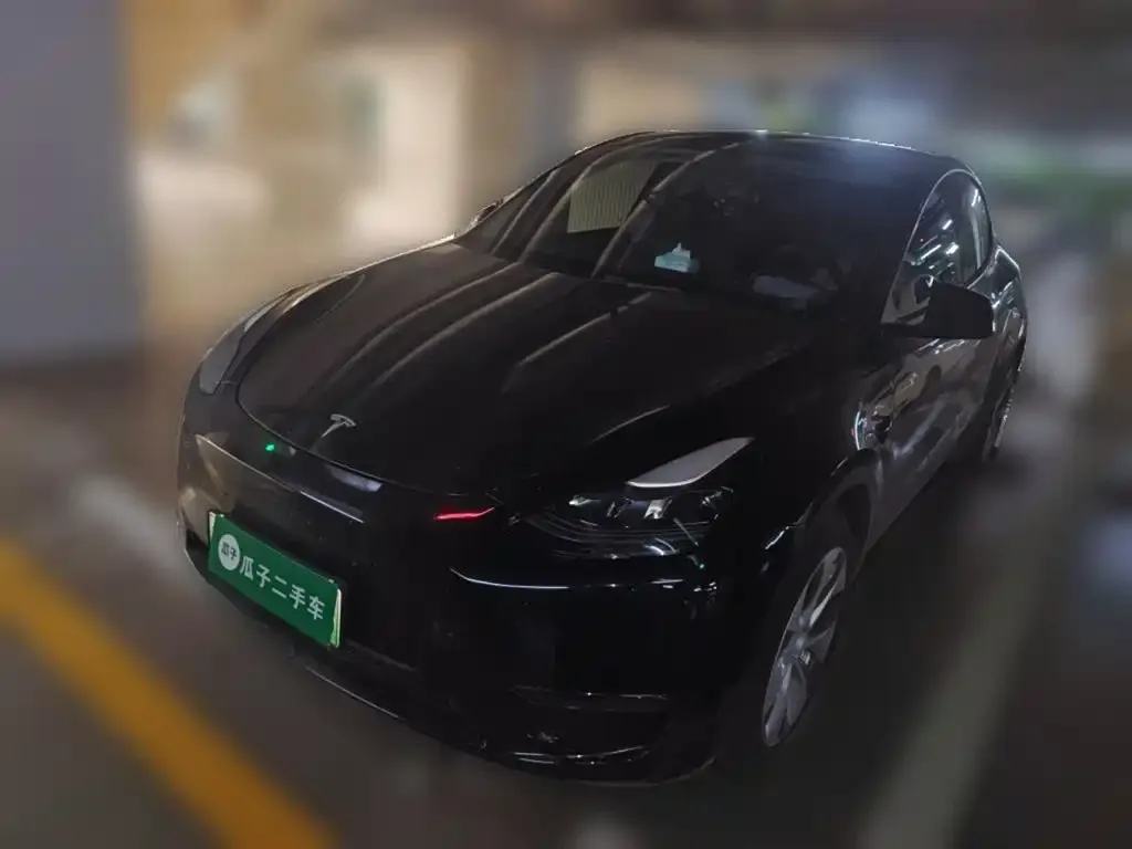 Tesla Model Y 2023 из CN, фото 2