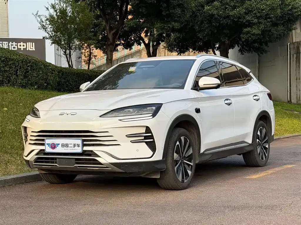 BYD PLUS New Energy 2025 из CN, фото 1