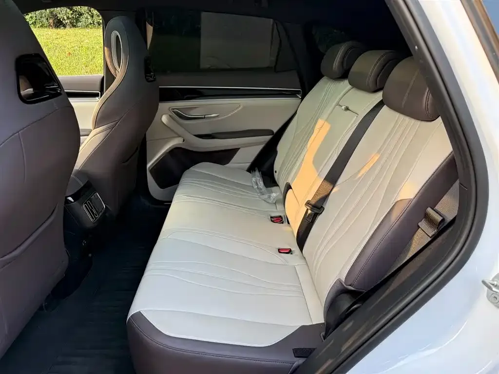 BYD PLUS New Energy 2025 из CN, фото 10