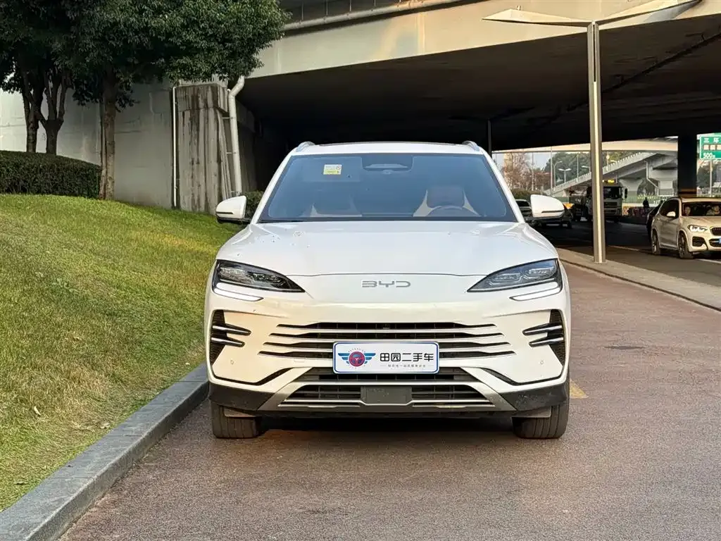 BYD PLUS New Energy 2025 из CN, фото 2