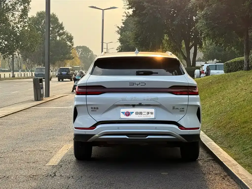 BYD PLUS New Energy 2025 из CN, фото 5