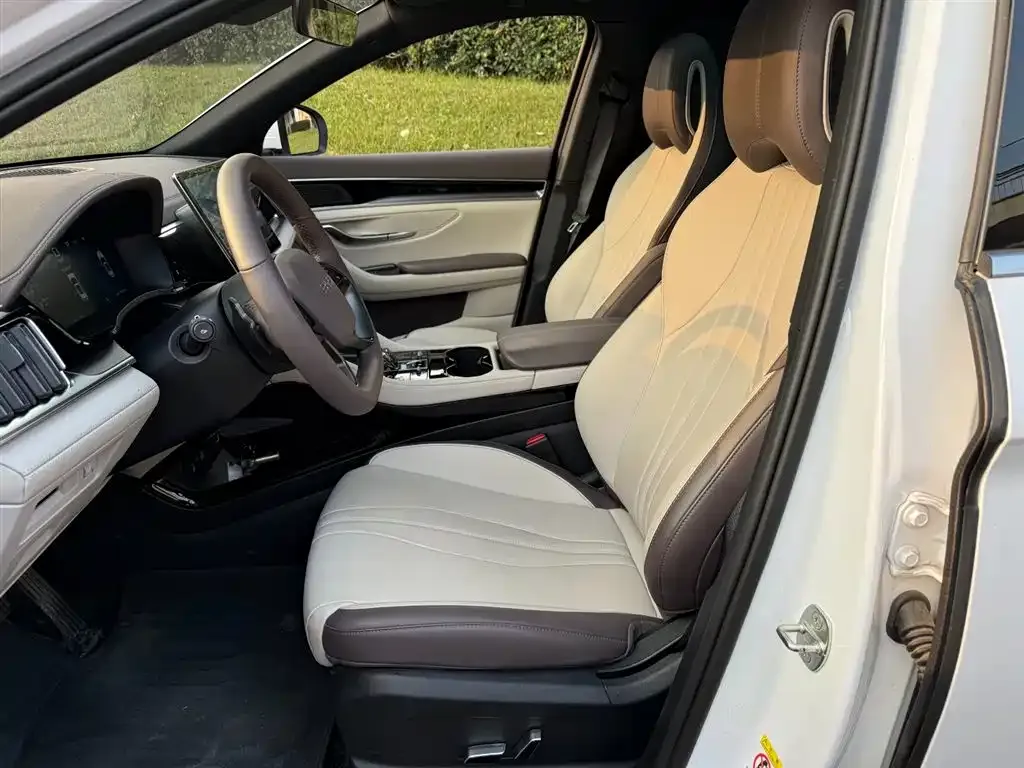 BYD PLUS New Energy 2025 из CN, фото 8