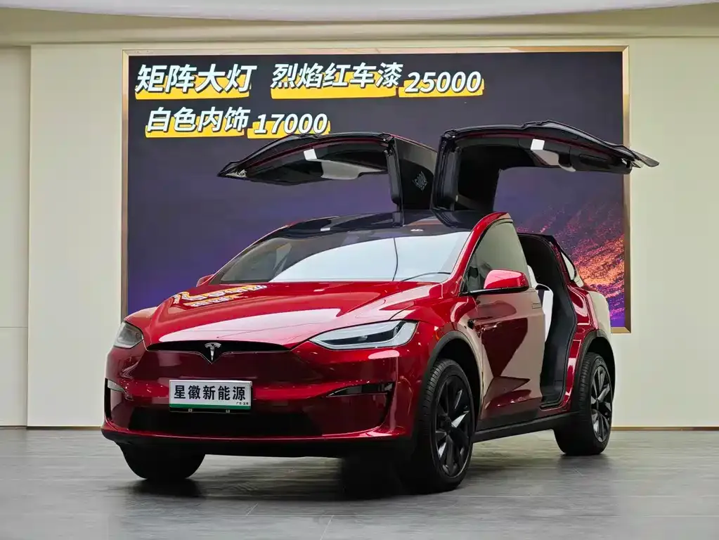 Tesla Model X 2024 из CN, фото 1
