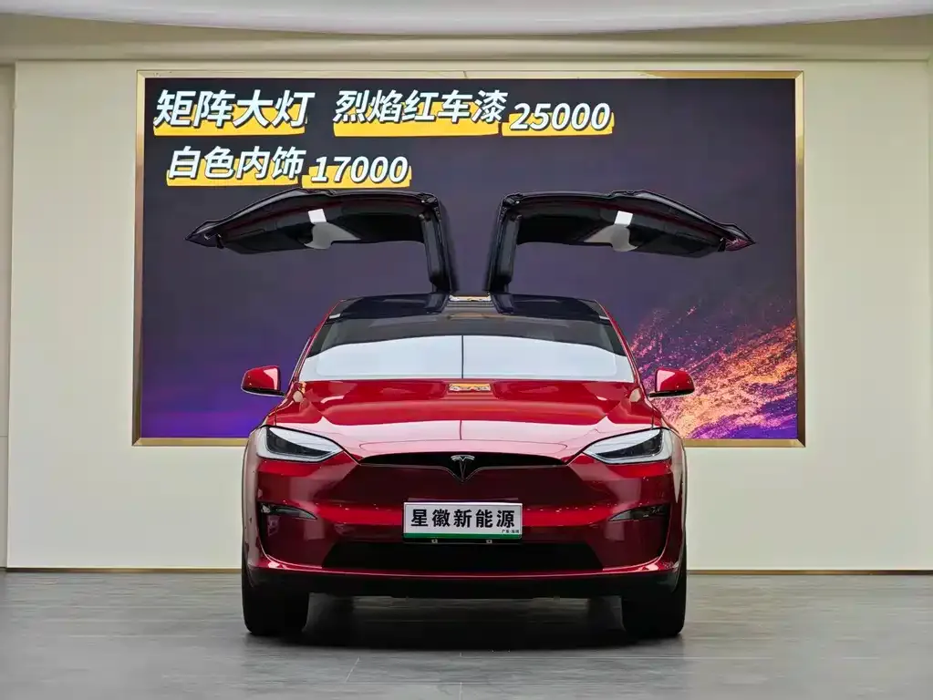 Tesla Model X 2024 из CN, фото 2