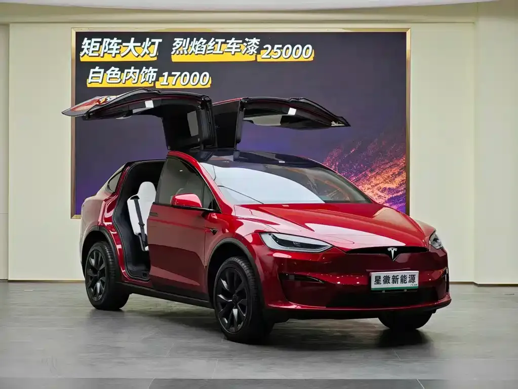 Tesla Model X 2024 из CN, фото 3