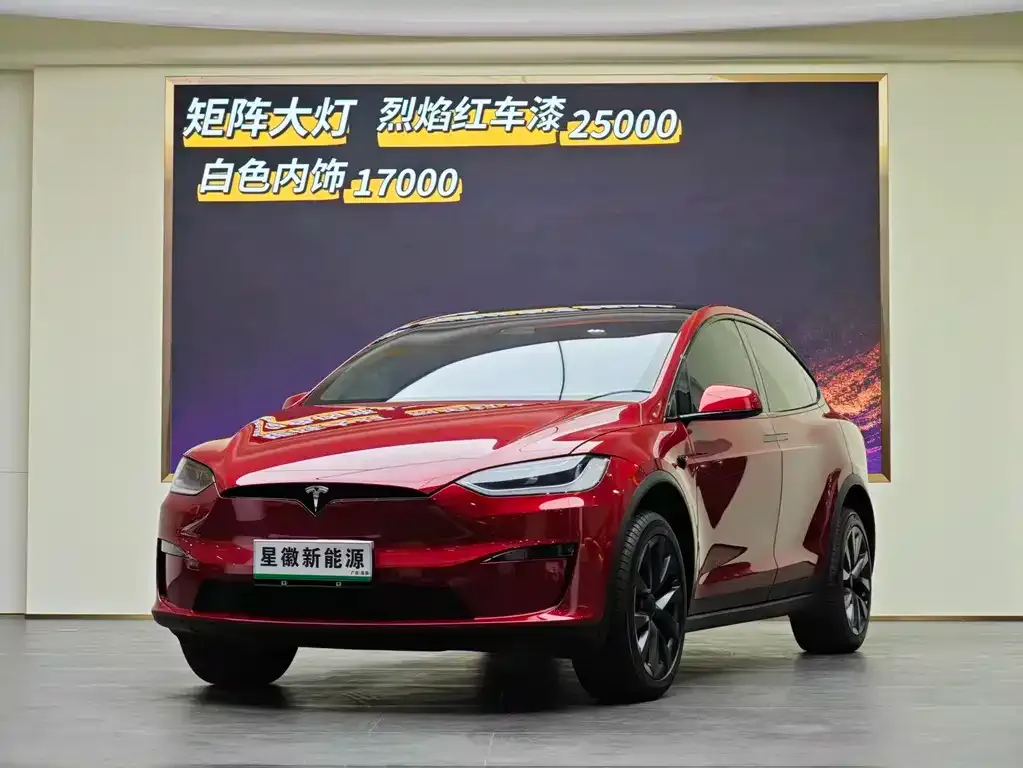Tesla Model X 2024 из CN, фото 5