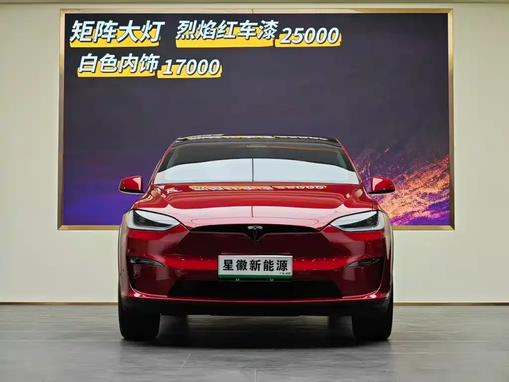 Tesla Model X 2024 из CN, фото 6