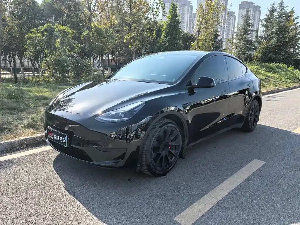 Tesla Model Y — фото 1