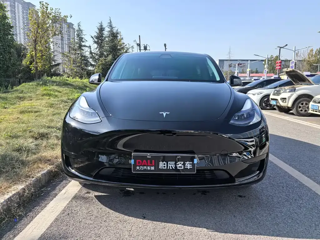 Tesla Model Y — фото 2