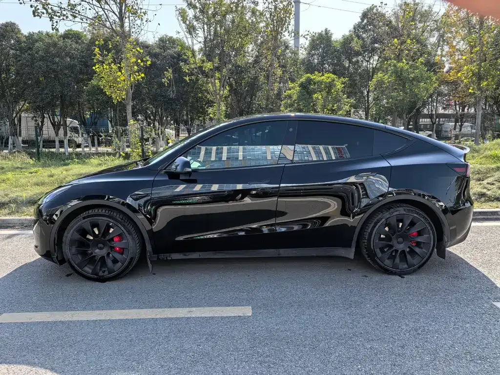 Tesla Model Y — фото 3