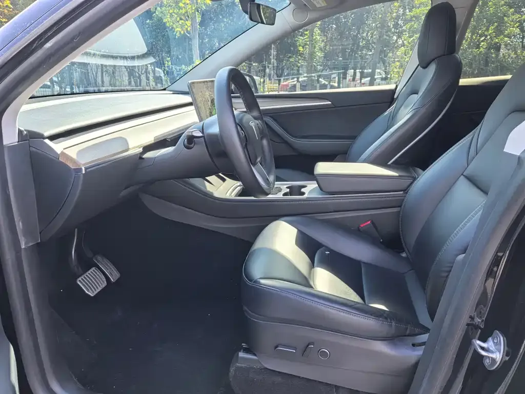 Tesla Model Y — фото 6