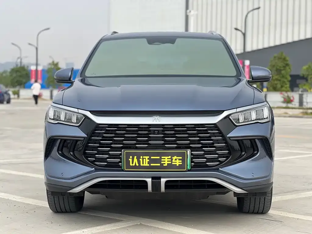 BYD Pro New Energy 2023 из CN, фото 2