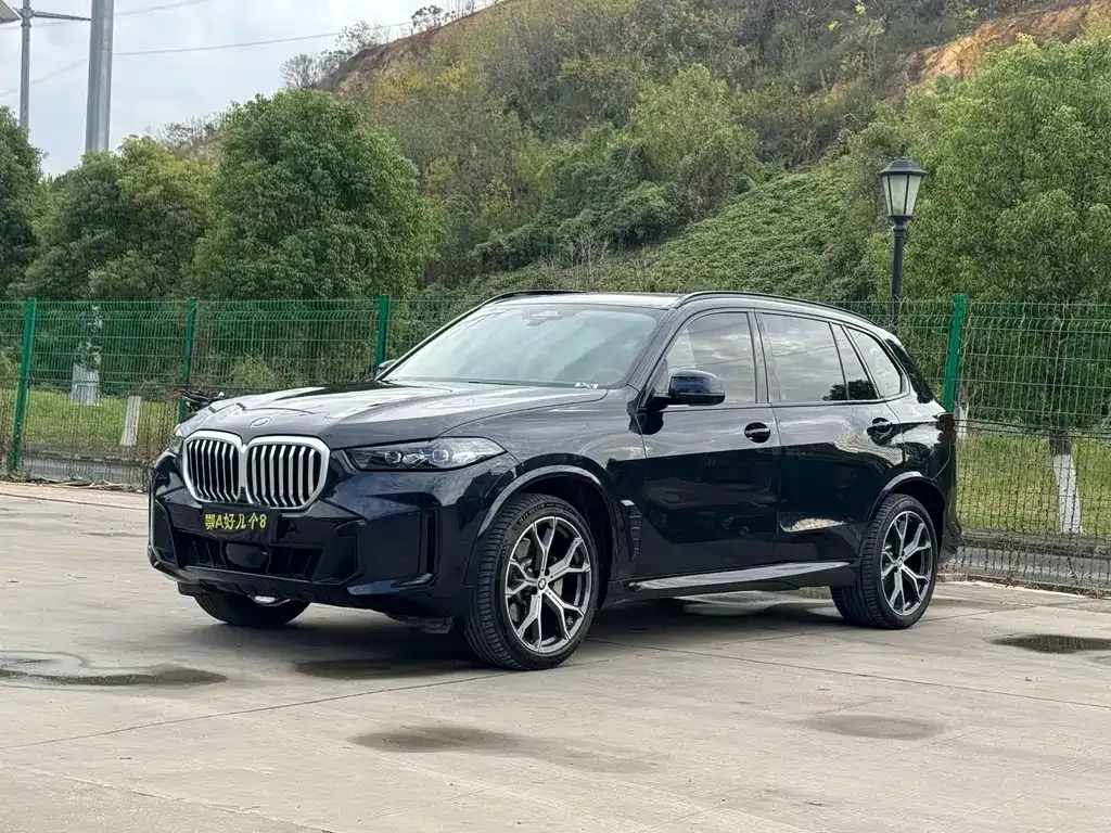 BMW X5 2023 из CN, фото 1
