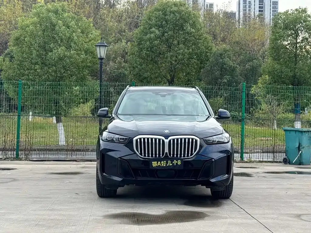 BMW X5 2023 из CN, фото 2