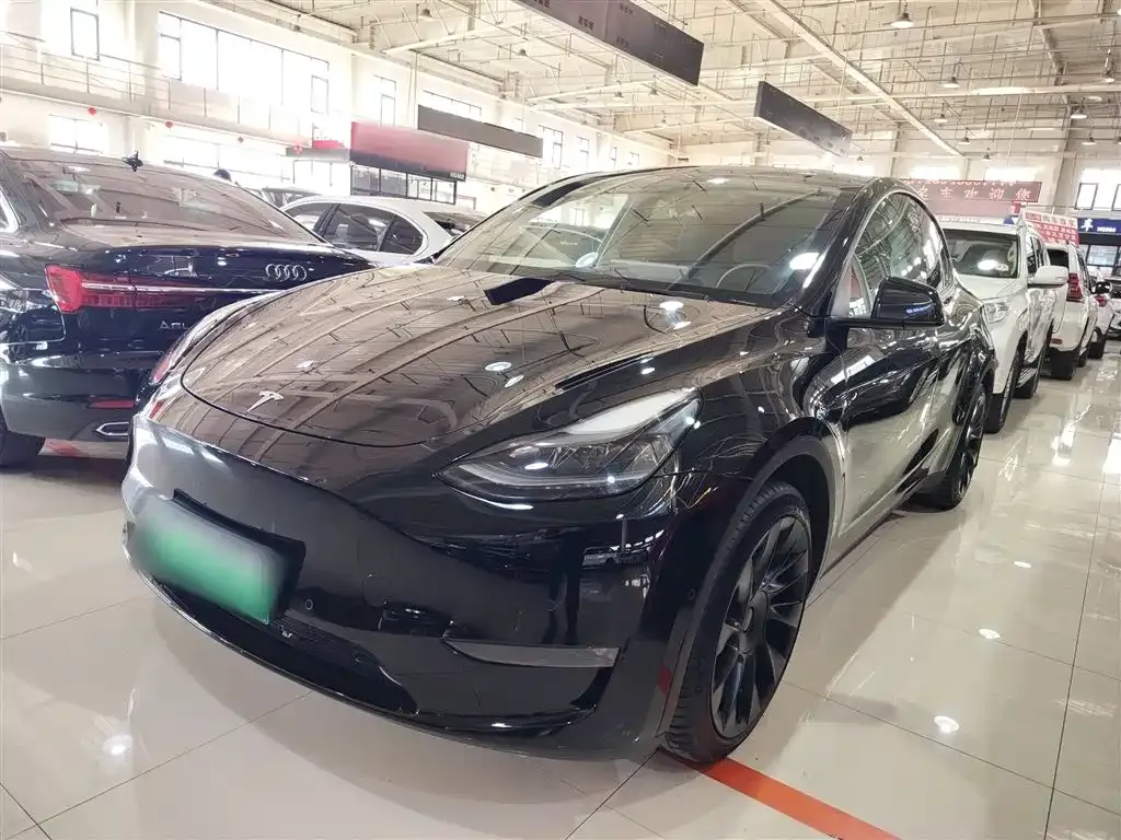 Tesla Model Y 2021 из CN, фото 1