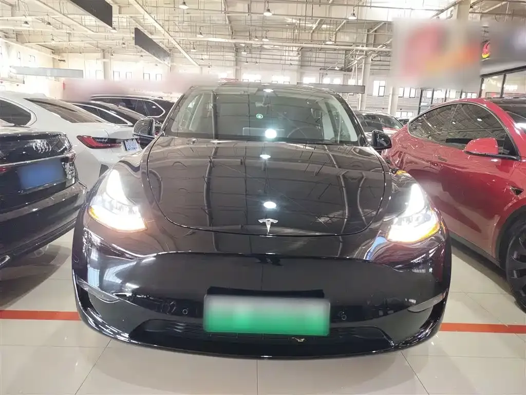Tesla Model Y 2021 из CN, фото 3