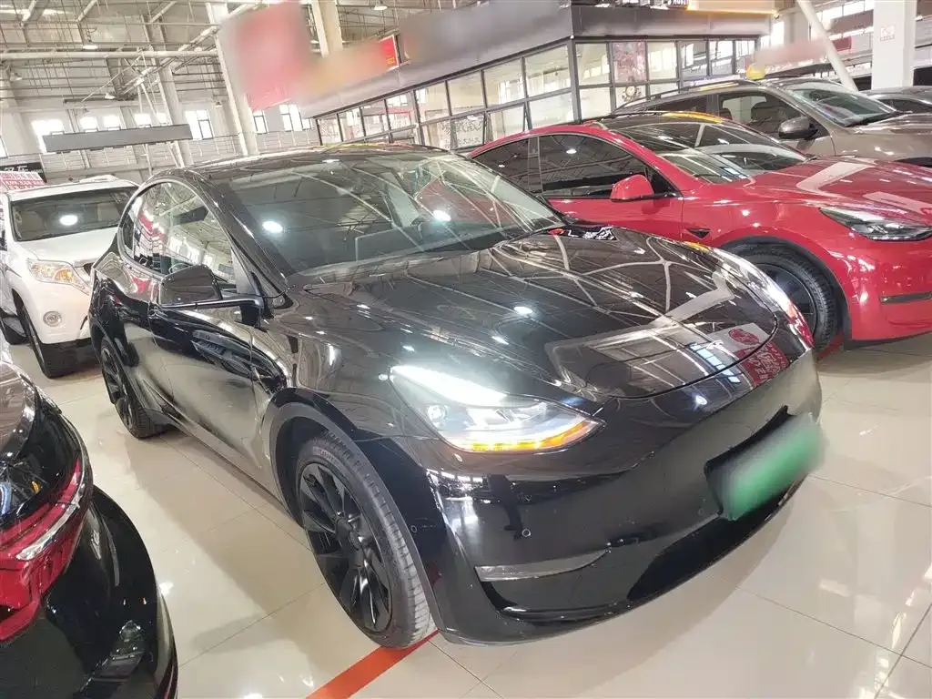 Tesla Model Y 2021 из CN, фото 4