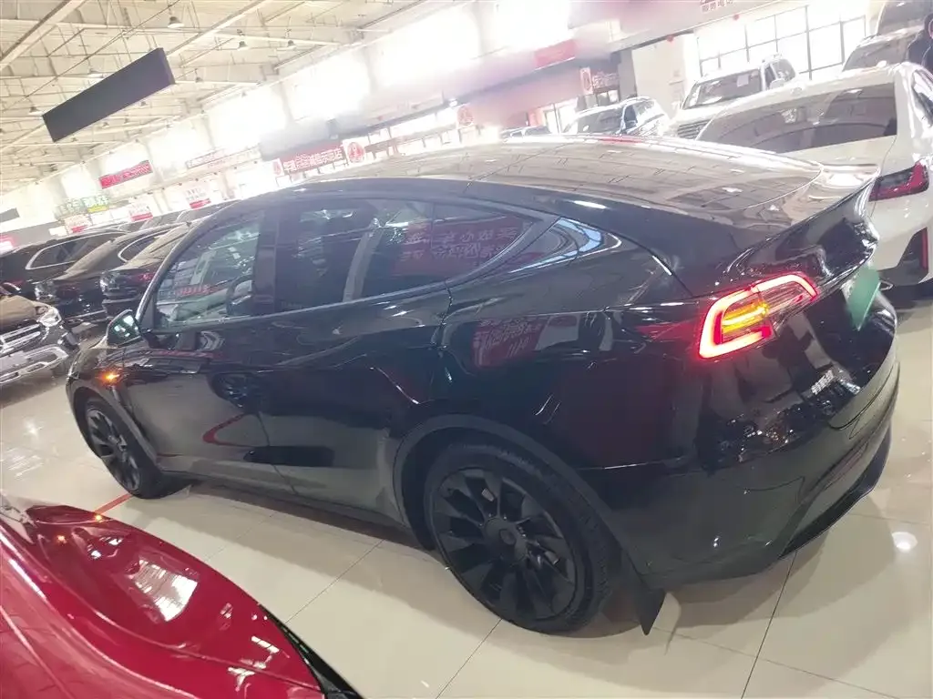 Tesla Model Y 2021 из CN, фото 5