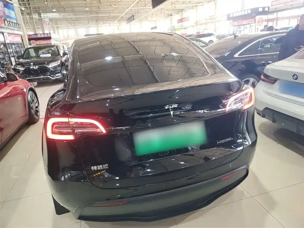 Tesla Model Y 2021 из CN, фото 6