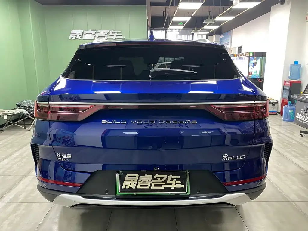 BYD PLUS New Energy — фото 4