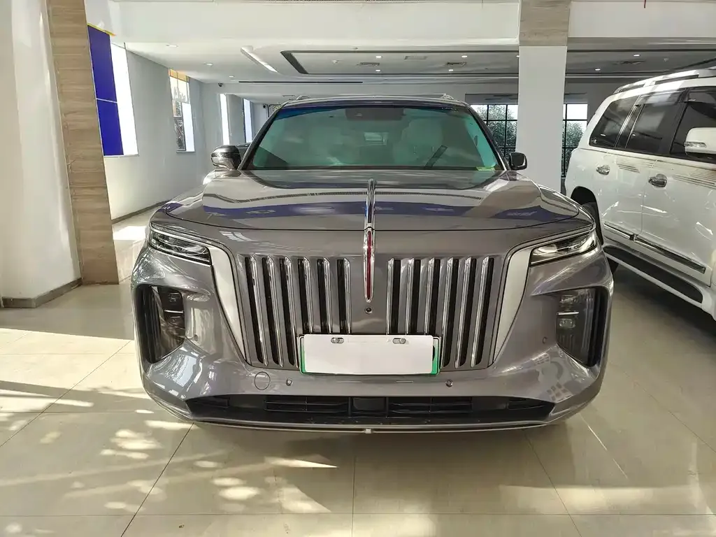 Hongqi E-HS9 2023 из CN, фото 2