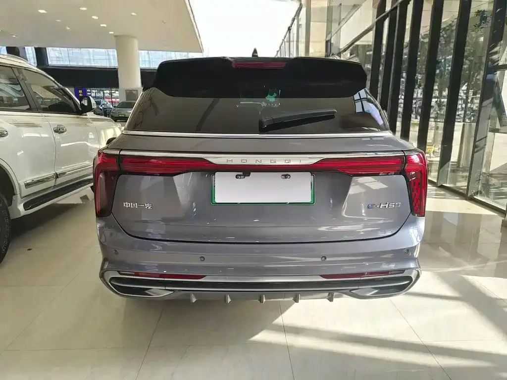 Hongqi E-HS9 2023 из CN, фото 3