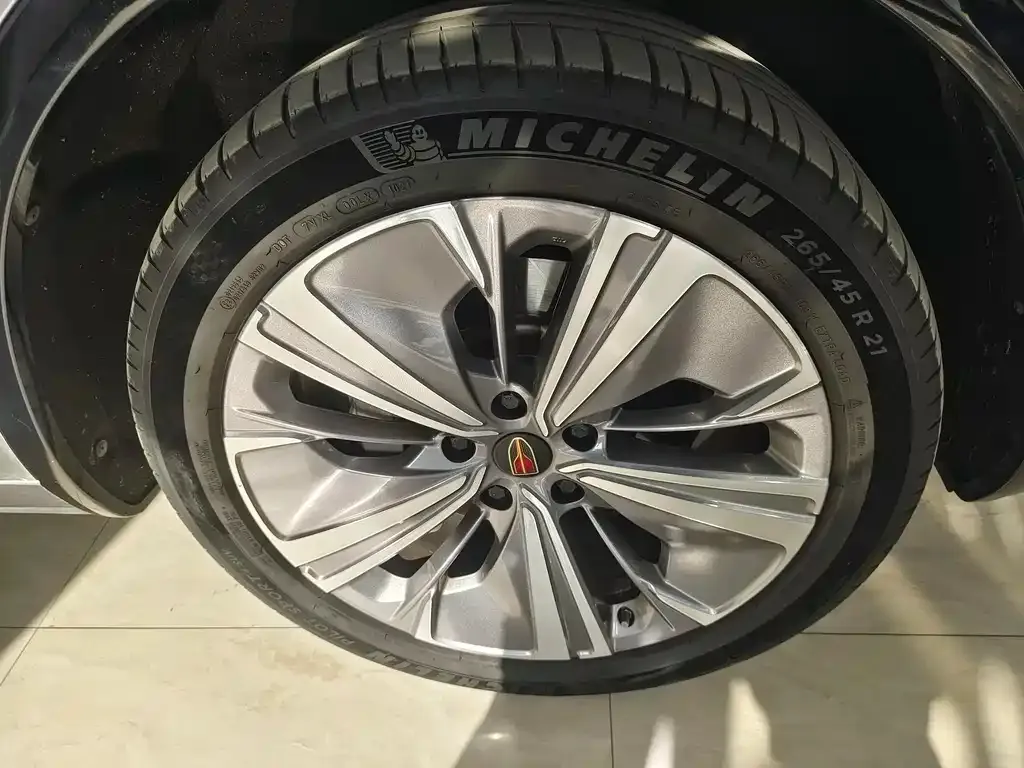 Hongqi E-HS9 2023 из CN, фото 5