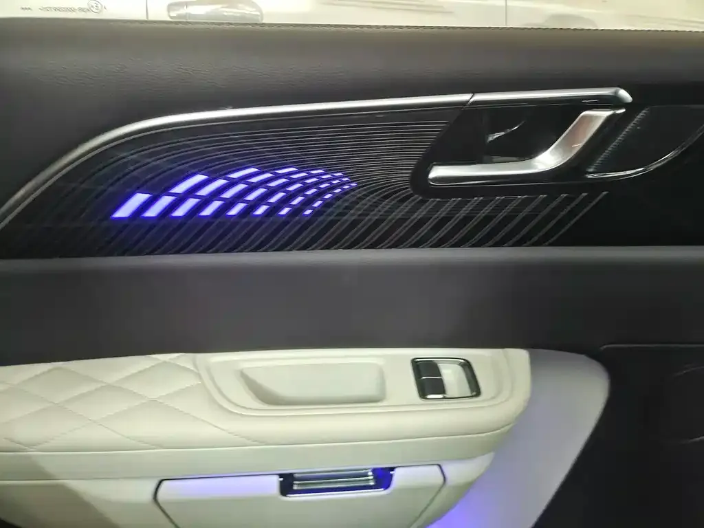 Hongqi E-HS9 2023 из CN, фото 8