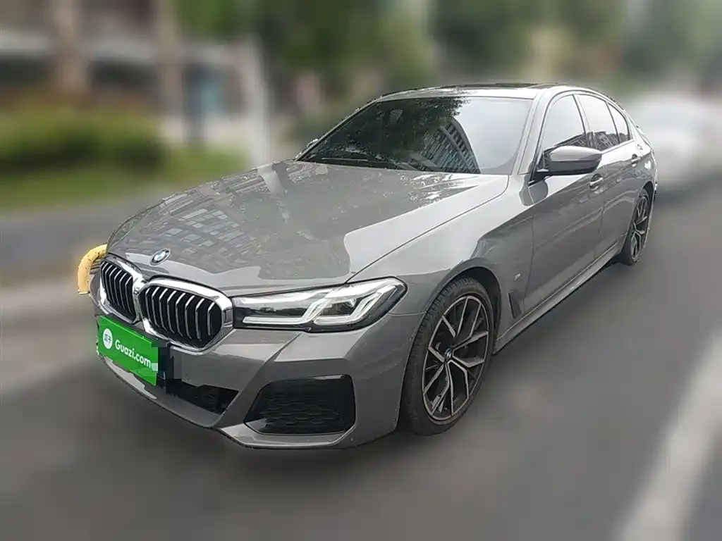 BMW 5 Series (Import) — фото 1