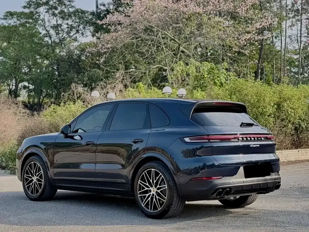Porsche Cayenne — фото 8