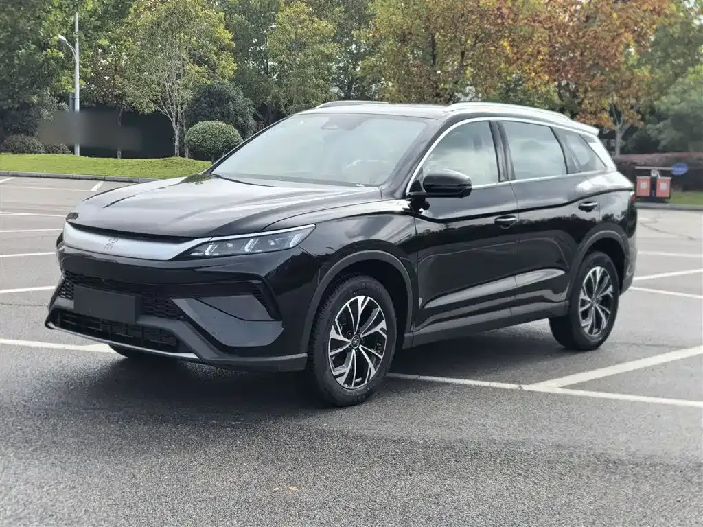 BYD Pro New Energy — фото 1