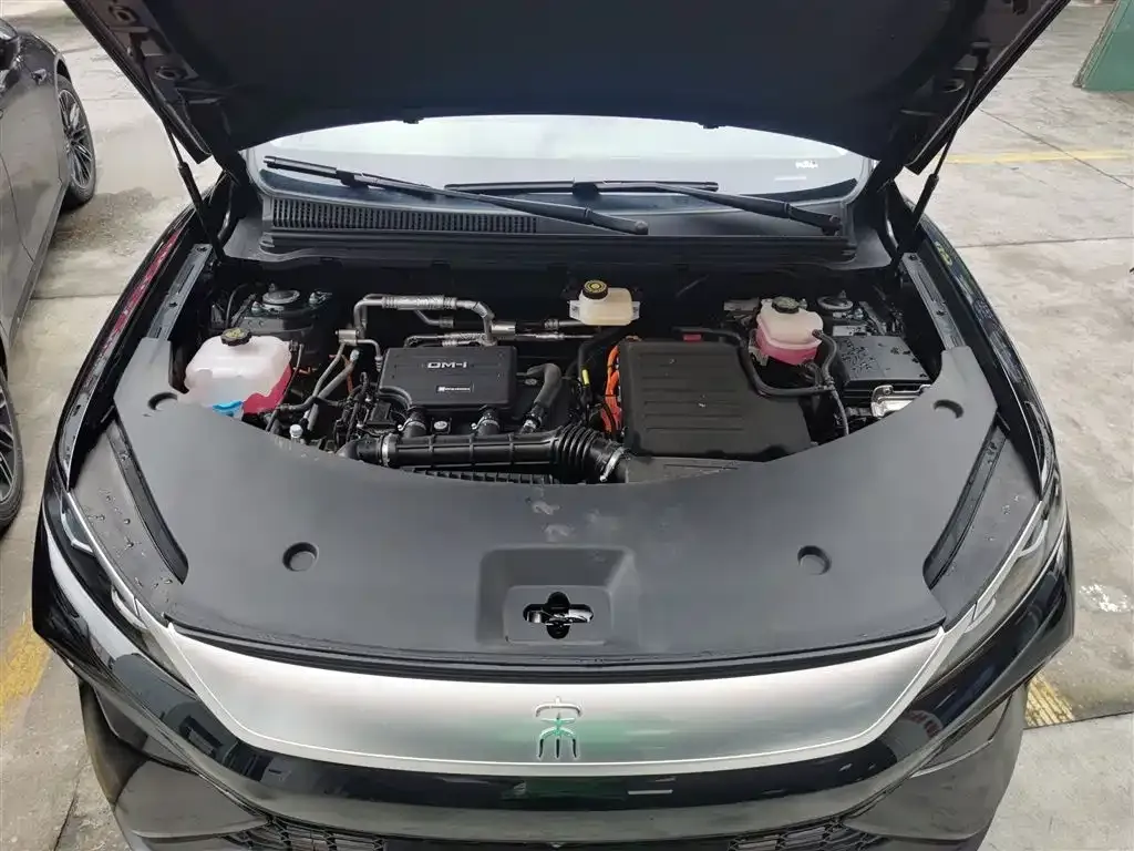 BYD Pro New Energy — фото 10