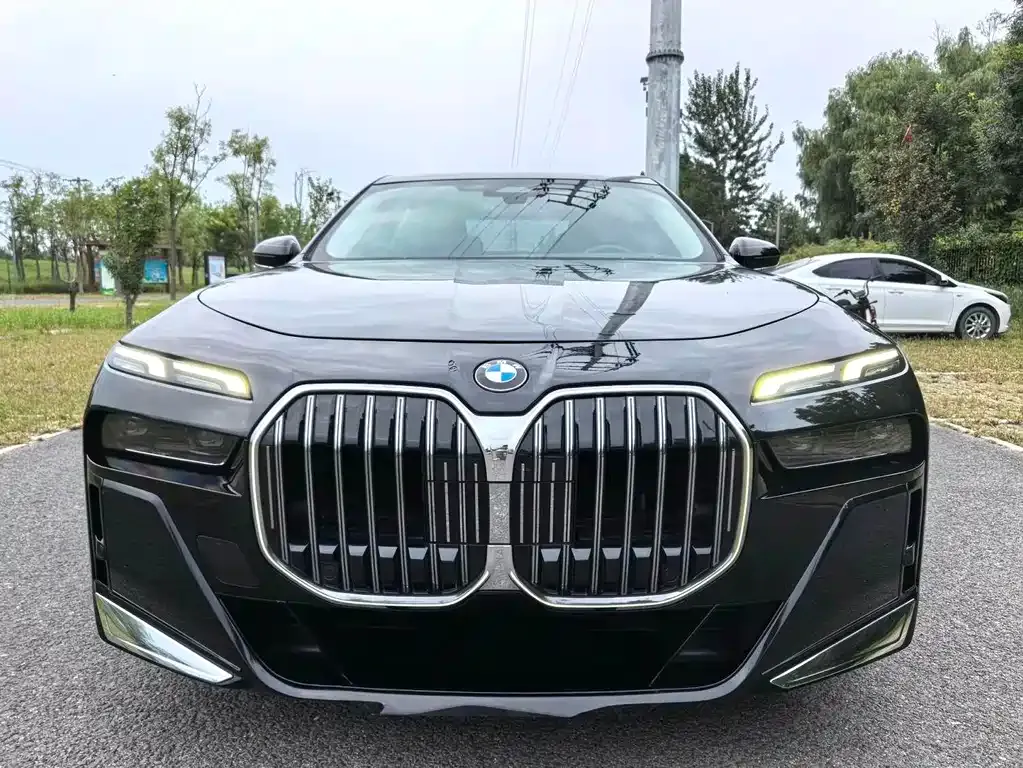 BMW 7 Series 2023 из CN, фото 2