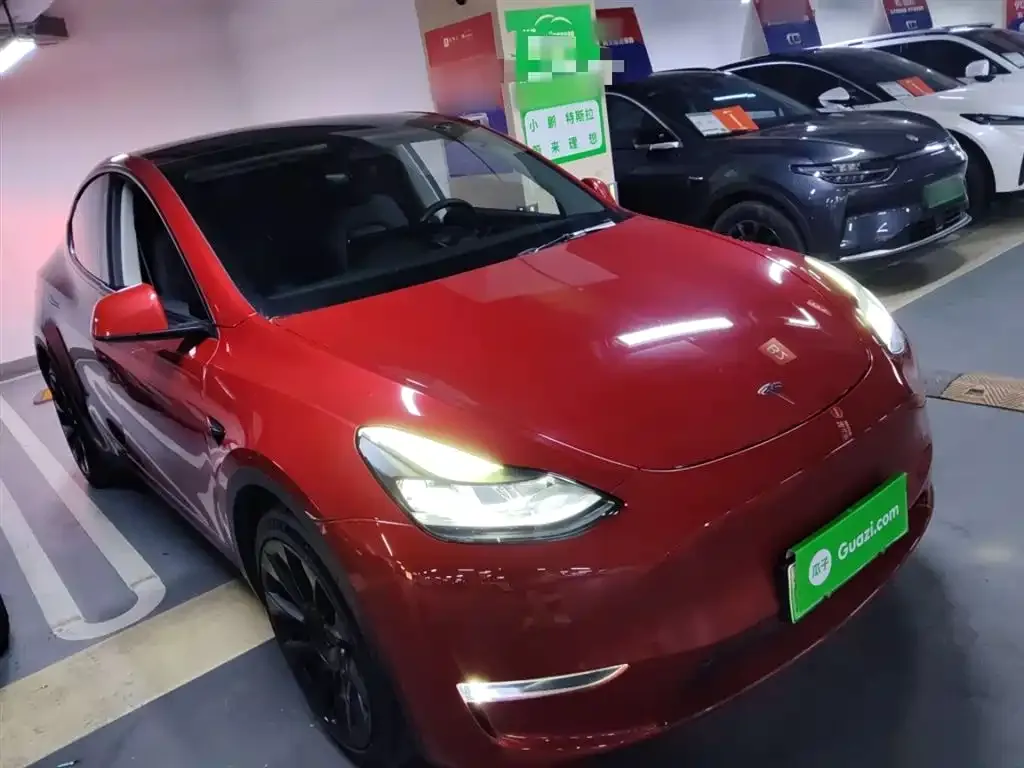 Tesla Model Y 2021 из CN, фото 4