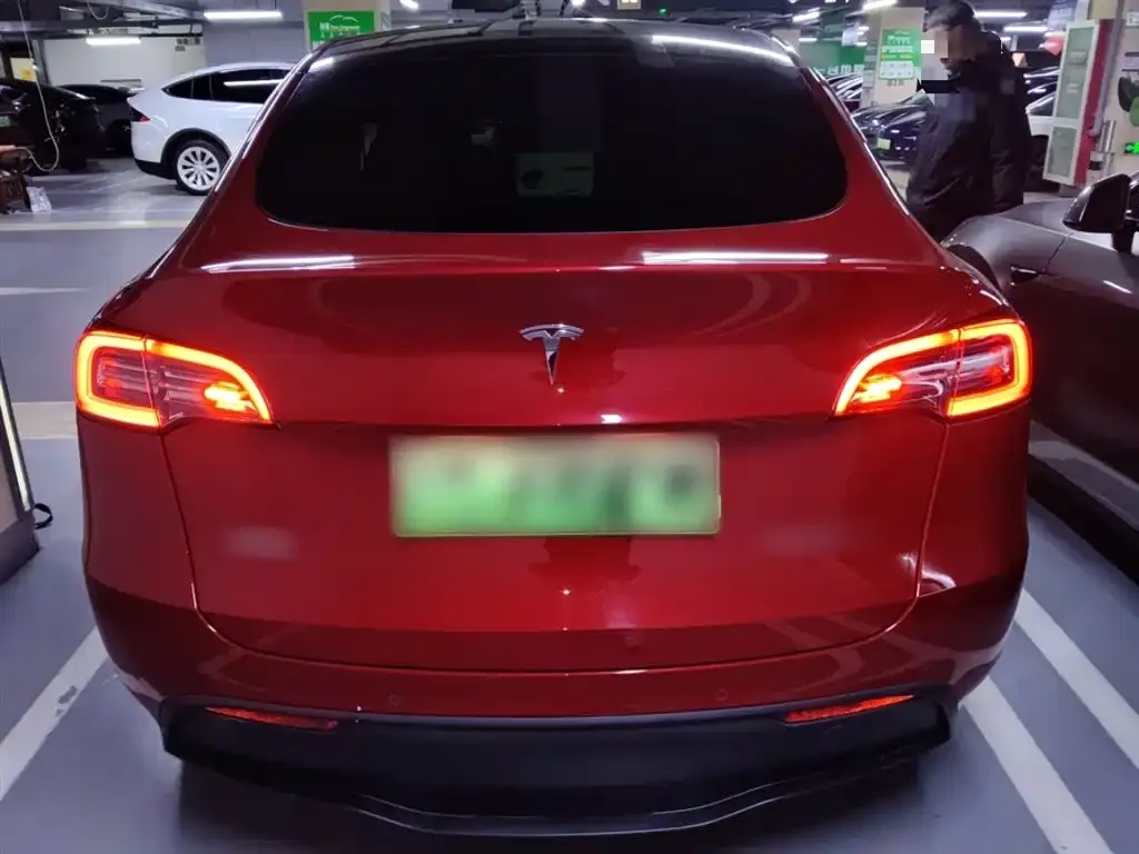 Tesla Model Y 2021 из CN, фото 6