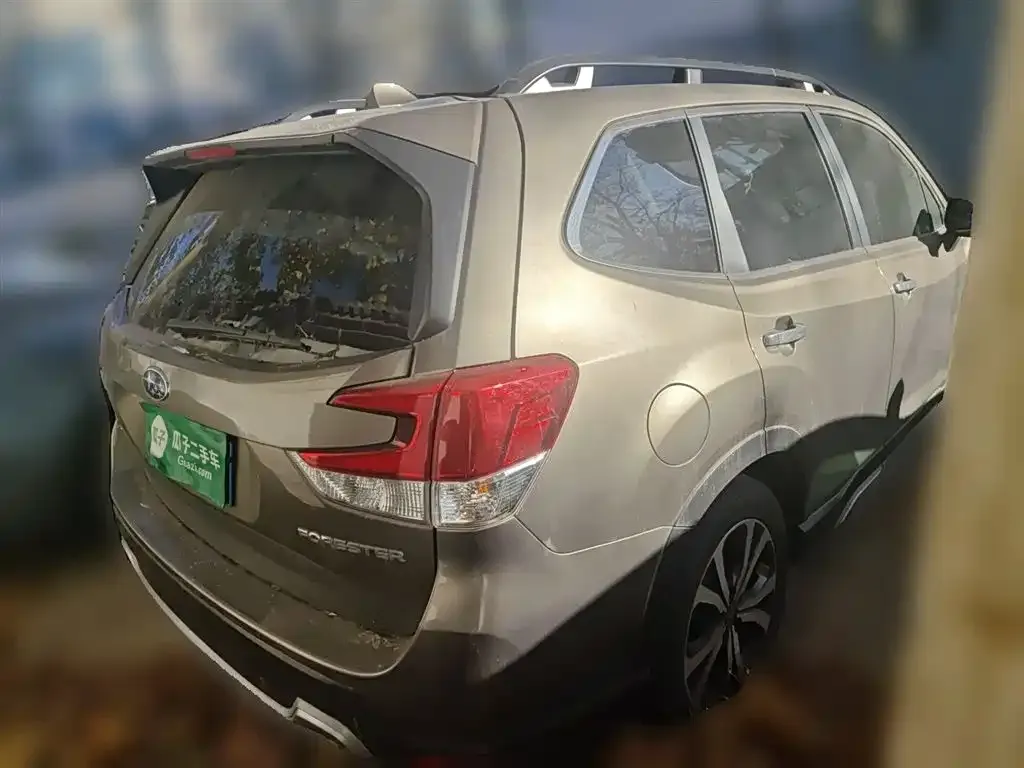 Subaru Forester 2021 из CN, фото 7