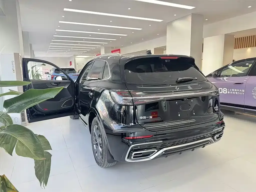 Hongqi HS5 2023 из CN, фото 9